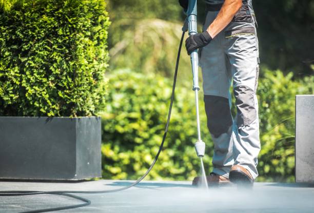 Best Solar Panel Cleaning  in Leisure Village, NJ